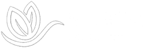 STEMist Education